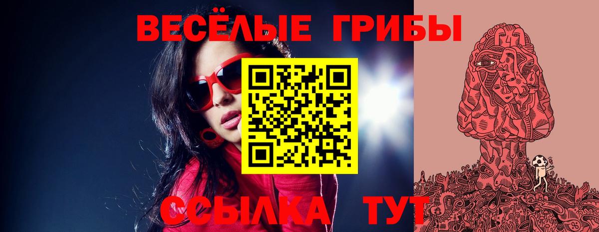 Псилоцибиновые грибы мицелий Воскресенск